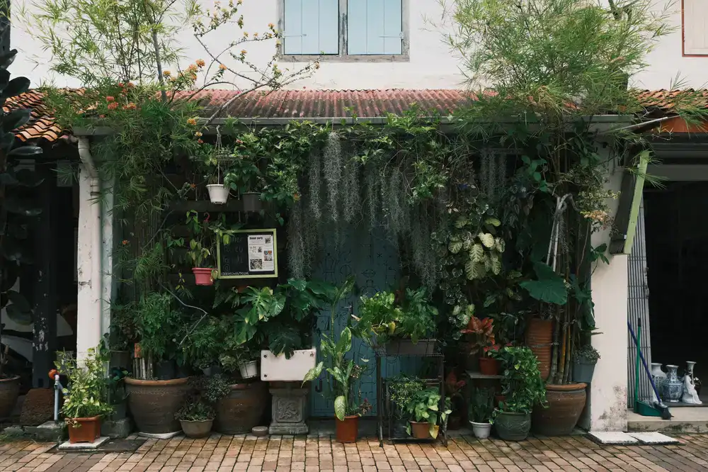 The front entrance of our botanical apothecary