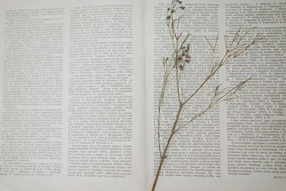 Open botanical reference books