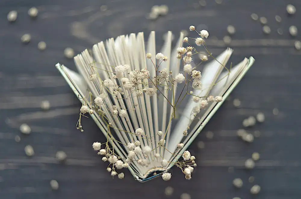 Open book with dried herbs scattered on a dark wooden table
