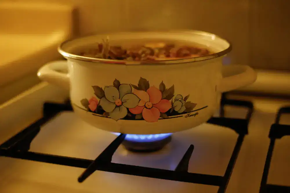 Simmering herbs in a pot on a stove