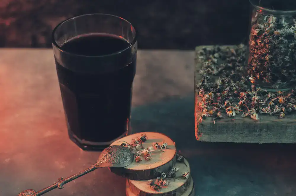 Elderberries and echinacea dried herbs
